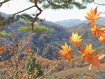 一脱未成名多次拒绝潜规则嫁普通丈夫9年后43岁万茜又火了
